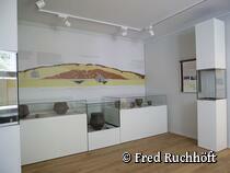Natur-Museum Goldberg - Archäologieraum