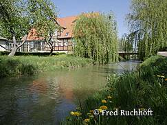 Natur-Museum Goldberg - Gartenansicht