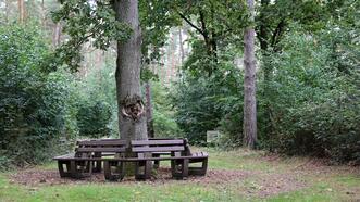 Plauer Heilwald - Bänke