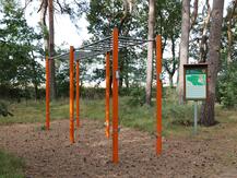 Fitnessgeräte im Plauer Heilwald - Hangelstrecke