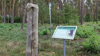 Naturlehrpfad in den Quetziener Tannen in Plau am See -
