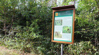 Naturlehrpfad in den Quetziener Tannen in Plau am See -