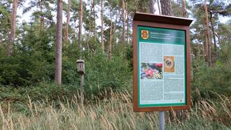 Naturlehrpfad in den Quetziener Tannen in Plau am See -