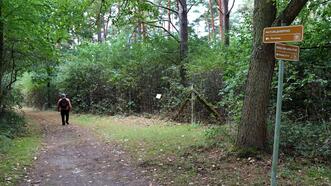 Naturlehrpfad in den Quetziener Tannen in Plau am See - Wegweiser