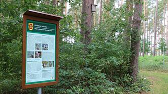 Naturlehrpfad in den Quetziener Tannen in Plau am See -