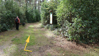 Naturlehrpfad in den Quetziener Tannen in Plau am See - Rundweg