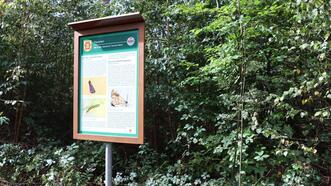 Naturlehrpfad in den Quetziener Tannen in Plau am See -