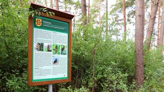 Naturlehrpfad in den Quetziener Tannen in Plau am See -