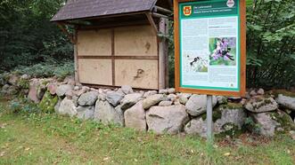 Naturlehrpfad in den Quetziener Tannen in Plau am See - Lehmwand