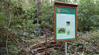 Naturlehrpfad in den Quetziener Tannen in Plau am See - Benjeshecke