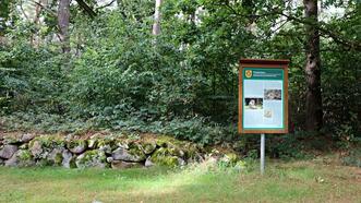Naturlehrpfad in den Quetziener Tannen in Plau am See - Trockenmauer