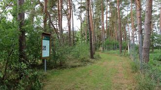 Naturlehrpfad in den Quetziener Tannen in Plau am See -