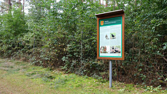 Naturlehrpfad in den Quetziener Tannen in Plau am See - Tierarten