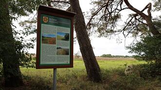 Naturlehrpfad in den Quetziener Tannen in Plau am See -