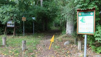 Naturlehrpfad in den Quetziener Tannen in Plau am See - Zugang