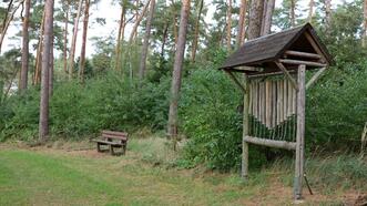 Naturlehrpfad in den Quetziener Tannen in Plau am See - Klanghölzer