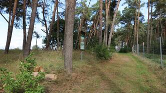 Naturlehrpfad in den Quetziener Tannen in Plau am See -