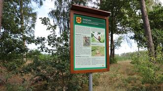 Naturlehrpfad in den Quetziener Tannen in Plau am See -