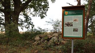 Naturlehrpfad in den Quetziener Tannen in Plau am See -