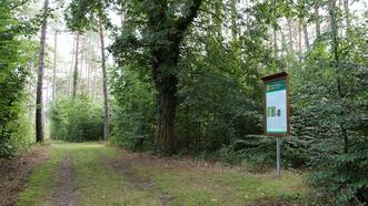 Naturlehrpfad in den Quetziener Tannen in Plau am See -
