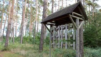 Naturlehrpfad in den Quetziener Tannen in Plau am See -