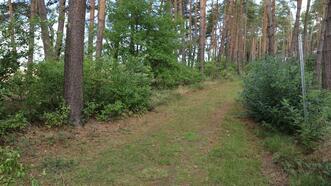 Naturlehrpfad in den Quetziener Tannen in Plau am See -