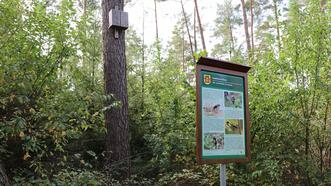 Naturlehrpfad in den Quetziener Tannen in Plau am See -