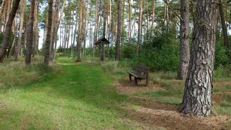 Heilwald Quetziner Tannen in Plau am See