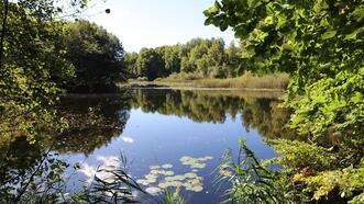 Naturlehrpfad Plauer Stadtwald - Blick auf den Ziegeleisee