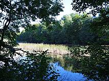 Naturlehrpfad Plauer Stadtwald - Blick auf den Ziegeleisee