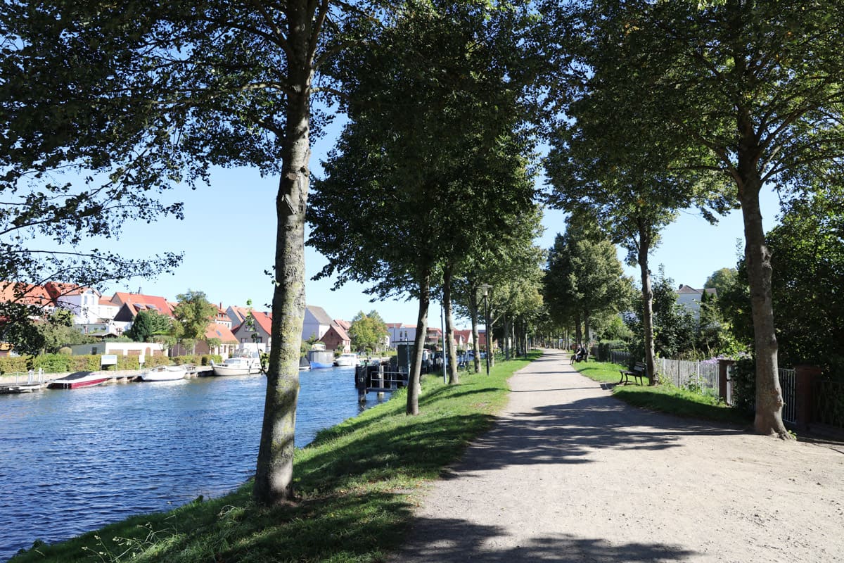 Allee entlang der Elde