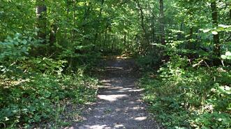 Naturlehrpfad Plauer Stadtwald