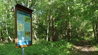 Naturlehrpfad Plauer Stadtwald - Informationstafel: Libellen