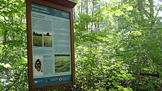 Naturlehrpfad Plauer Stadtwald - Informationstafel: Feucht- und Moorwiesen