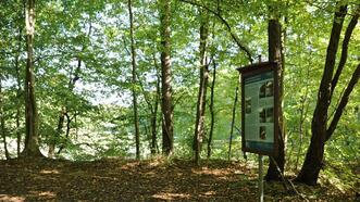 Naturlehrpfad Plauer Stadtwald - Informationstafel: Seen im Plauer Stadtwald