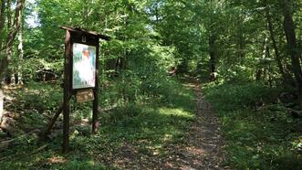 Naturlehrpfad Plauer Stadtwald - Schülertafel
