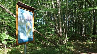 Naturlehrpfad Plauer Stadtwald - Informationstafel: Entstehungsgeschichte des Gebietes »Plauer Stadtwald«