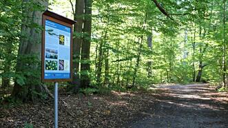 Naturlehrpfad Plauer Stadtwald - Informationstafel: Frühblüher