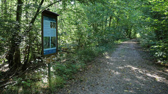 Naturlehrpfad Plauer Stadtwald - Informationstafel: Moor- und Auenwälder