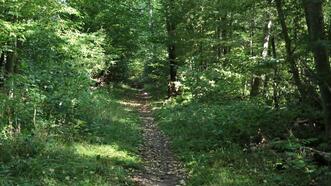 Naturlehrpfad Plauer Stadtwald