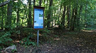 Naturlehrpfad Plauer Stadtwald - Informationstafel: Vielfalt der Moore
