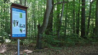 Naturlehrpfad Plauer Stadtwald - Informationstafel: Vögel des Plauer Stadtwaldes