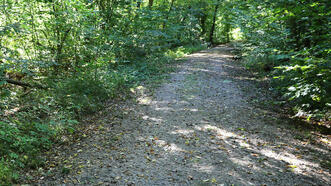 Naturlehrpfad Plauer Stadtwald
