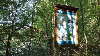Naturlehrpfad Plauer Stadtwald - Informationstafel Eisvogel