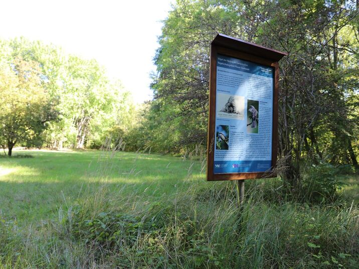 Naturlehrpfad um den Ziegelsee im Plauer Stadtwald