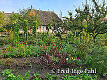 Freilichtmuseum Schwerin-Mueß - Dorfschullehrergarten