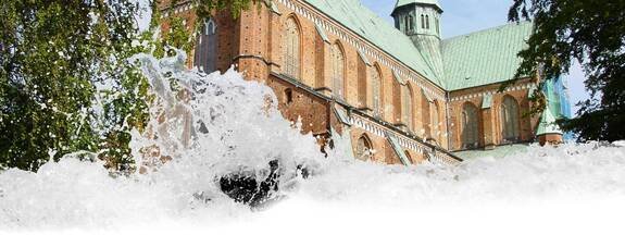 Bad-Doberan: Münster