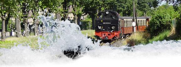 Bad-Doberan: MOLLI Schmalspurbahn