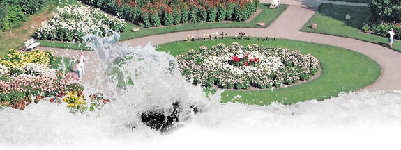 Bad Sülze: Dahlienfest