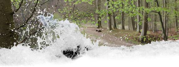 Bartenshagen-Parkentin: Naturlehrpfad im Hütter Wohld